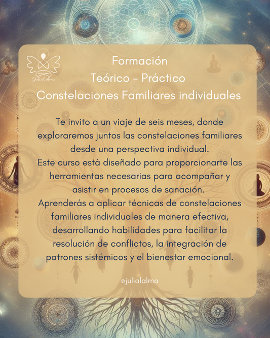 Formación Constelaciones familiares individuales